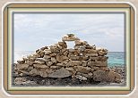 IMG_7220