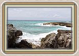 IMG_7221