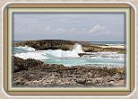 IMG_7223