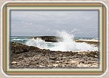 IMG_7225