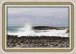 IMG_7227