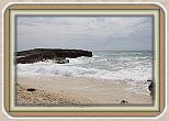 IMG_7230
