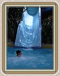 IMG_2216