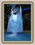 IMG_2220