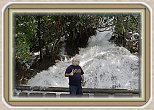IMG_3585