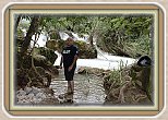 IMG_4572