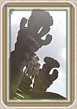 IMG_5493