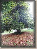 IMG_6662