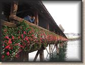 IMG_7440