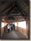 IMG_7443