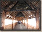 IMG_7445