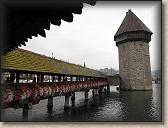 IMG_7456