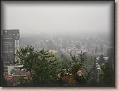IMG_7533