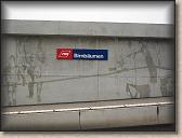 IMG_7536