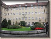 IMG_7551