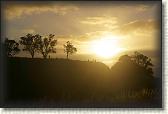 DSC03550