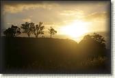 DSC03551
