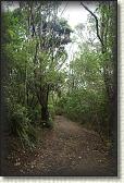 DSC03217