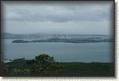 DSC03253
