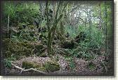 DSC03304