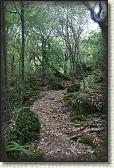 DSC03306