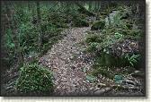 DSC03307