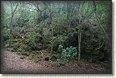 DSC03340