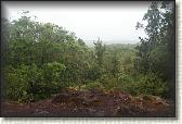 DSC03353