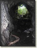 IMG_0158