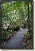 DSC00119