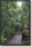 DSC00127