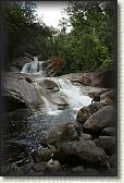 DSC00193