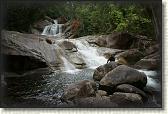 DSC00195