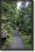 DSC00315