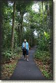DSC00334