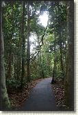 DSC00335