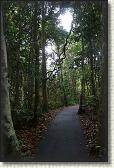 DSC00336