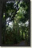 DSC00341