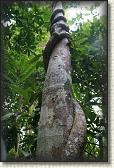 DSC00369