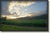 DSC00403