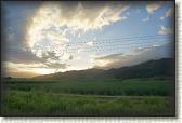 DSC00404