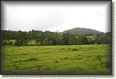 DSC09870