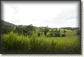 DSC09871
