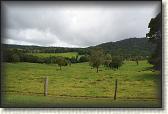 DSC09872