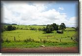 DSC09874