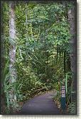 DSC09921