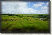 DSC09936