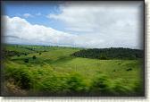 DSC09956