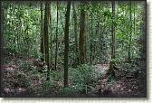 DSC09970