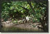 DSC00548